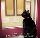 Black Cat Tini Has Been Adopted After Waiting for 6 Years