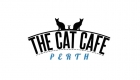 Cat Cafe Perth Helping Rescue Cats Will Open Soon In Western Australia!