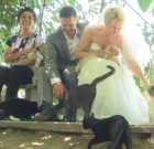 Wedding With Cats: Couple Got Married At Cat House On The Kings Cat Sanctuary