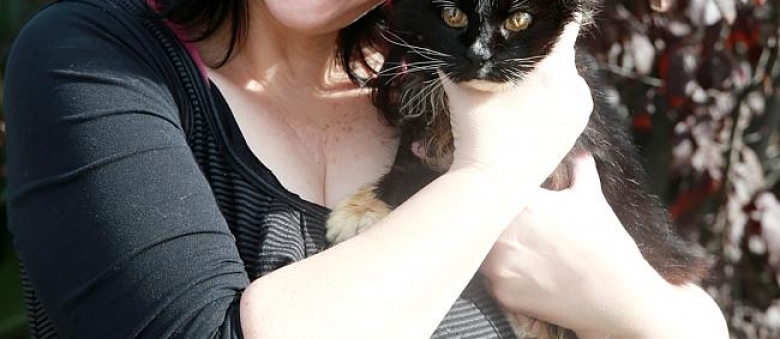 Unbelievable: Geelong Cat Returns Home After 13 Years Missing