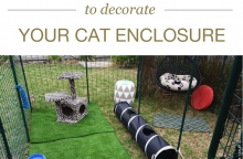 7 Ways To Decorate Your Cat Enclosure