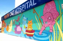 Perth Cat Hospital Opened With Beautiful Cat Mural On Walls