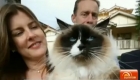 A Cat Sold With A House For $140k. Former Owners Said They Loved The Cat.