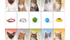 Australia Post Released Cats Stamp Collection. Hurry, Some Stamps Are Already Out Of Stock!