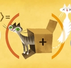 Schrödinger’s Cat – Cat Paradox – The Cat Is Alive Let’s Go To Dinner!